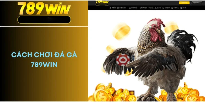 Cách Tham Gia Đá Gà Trực Tuyến Tại 789WIN