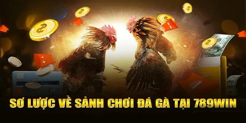 Sơ Lược Về Sảnh Đá Gà Tại 789WIN